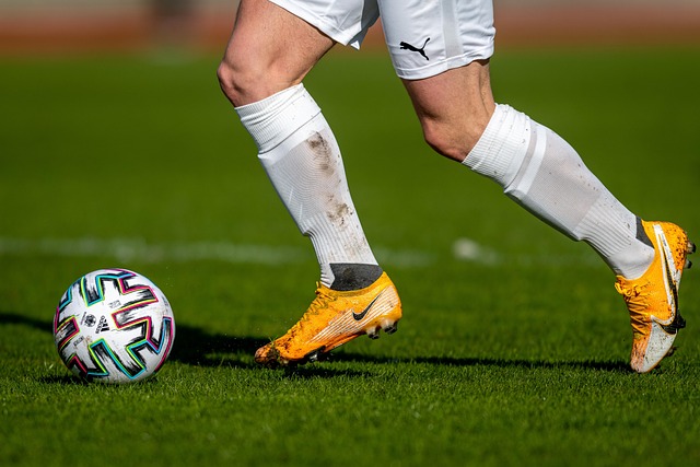 那不勒斯的 那不勒斯的