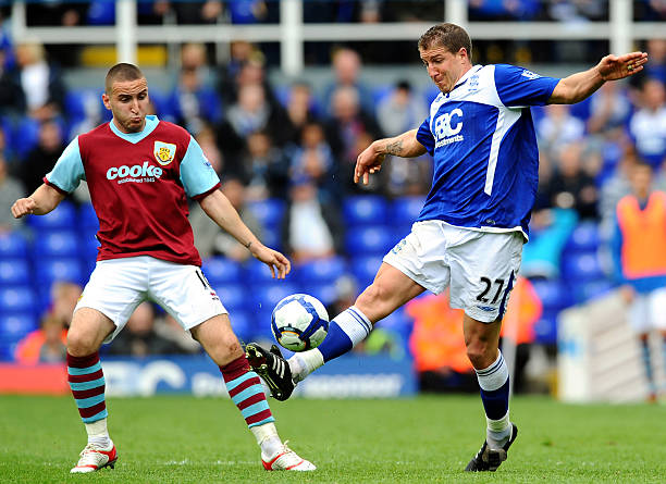 引了无数关 引了无数关