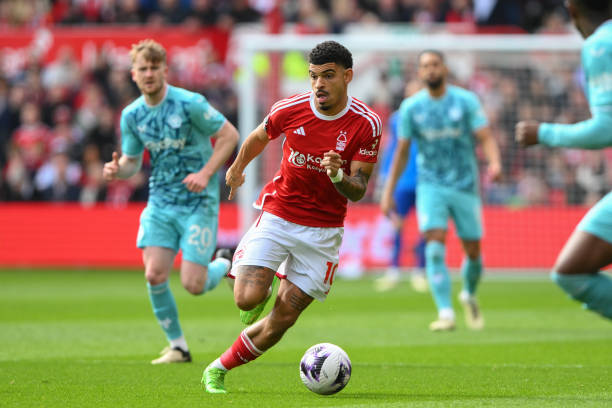 尽全力去弥 尽全力去弥